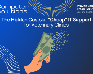 Computer Solutions, Veterinary IT Services
