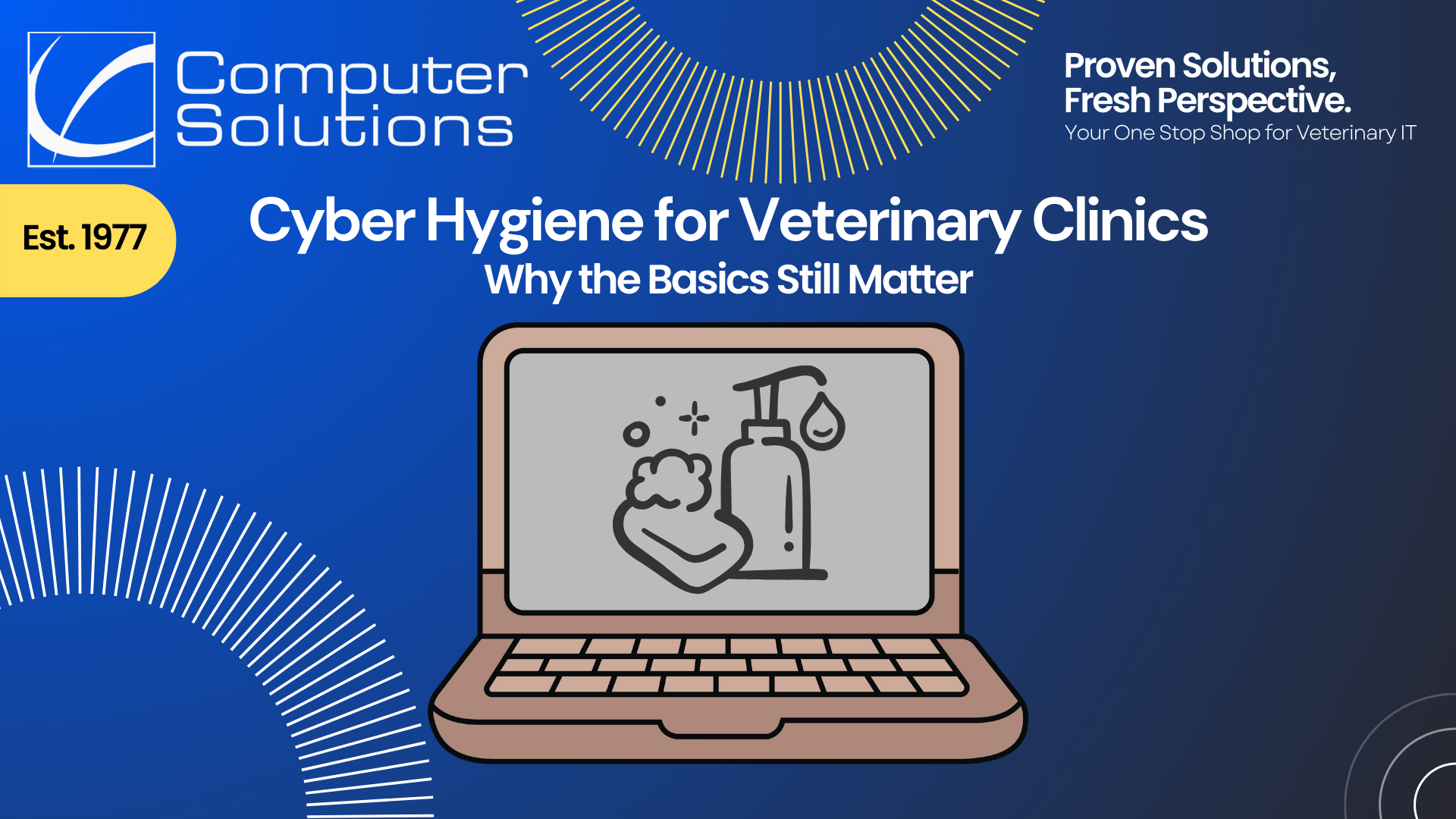 Title image. This includes Computer Solutions contact info and tagline. It also shows a computer with a bar of soap on it, symbolizing "cyber hygiene"