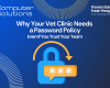 Title image. This includes Computer Solutions' logo, tagline, and contact information. It also incudes an image of a lock with a password protected symbol to show veterinary password security.