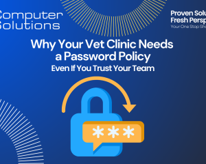 Title image. This includes Computer Solutions' logo, tagline, and contact information. It also incudes an image of a lock with a password protected symbol to show veterinary password security.