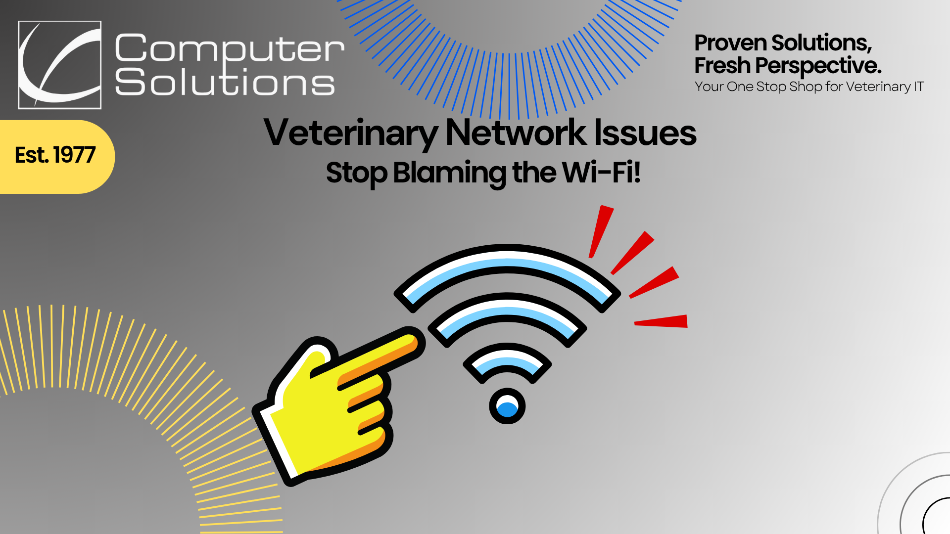 Picture of Veterinary Network Issues: Stop Blaming the Wi-Fi