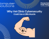 vet clinic cybersecurity article title image. This includes the Computer Solutions tagline, logo, and contact info, along with a graphic of a bicep with a cybersecurity tattoo