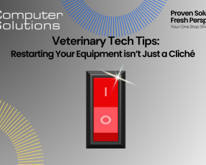 Veterinary tech tips article by Computer Solutions. This includes their tagline, logo, and contact information. It also includes a shiny on/off switch.