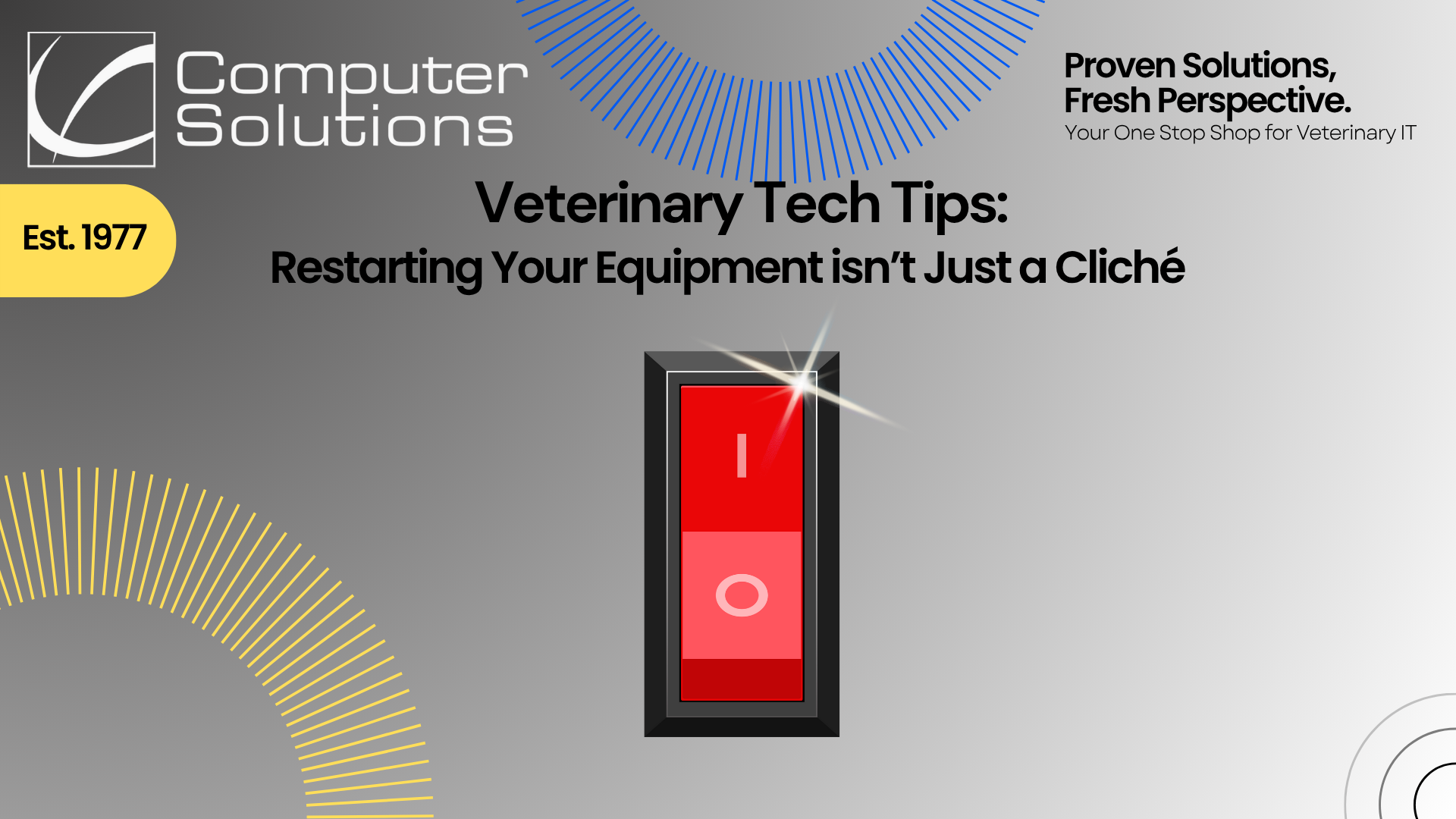 Veterinary tech tips article by Computer Solutions. This includes their tagline, logo, and contact information. It also includes a shiny on/off switch.
