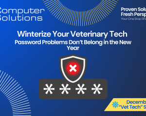 Vet clinic password policy article. This also includes the Computer Solutions logo, tagline, and contact information, as well as an icon that shows an incorrect password.