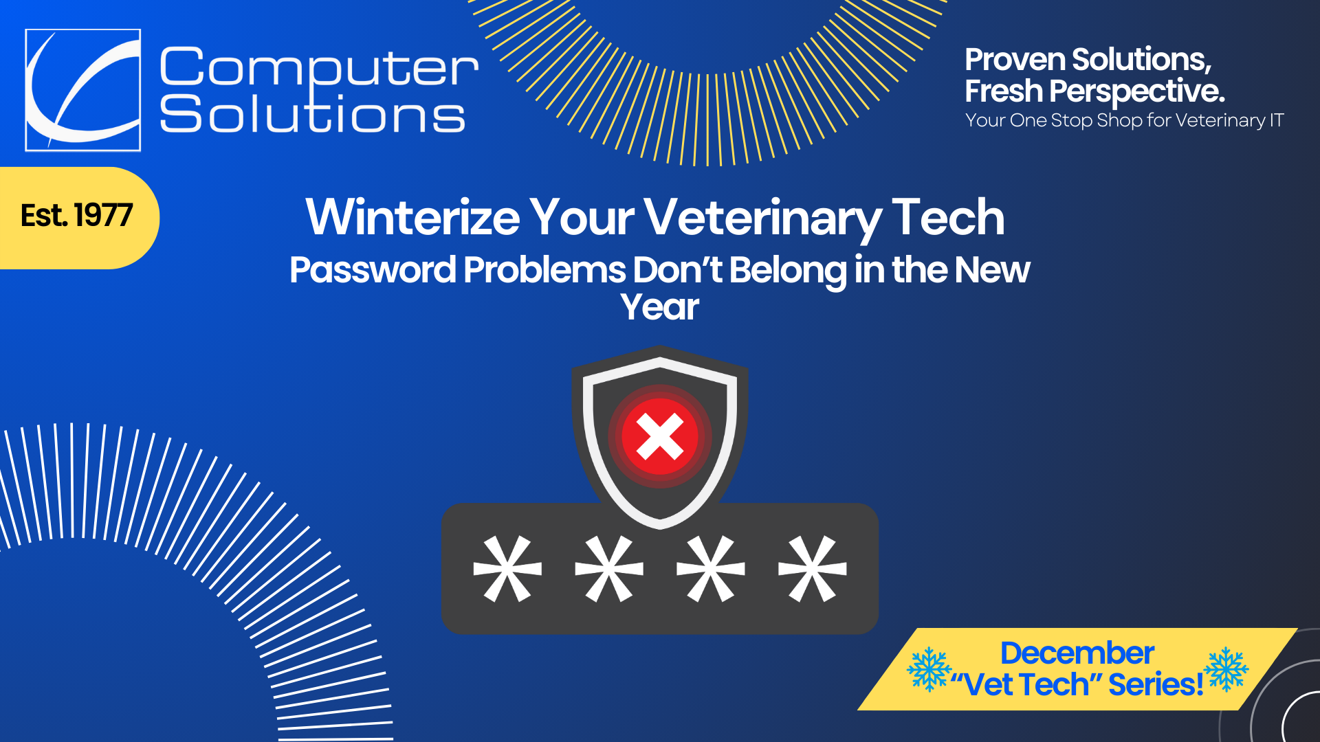 Vet clinic password policy article. This also includes the Computer Solutions logo, tagline, and contact information, as well as an icon that shows an incorrect password.