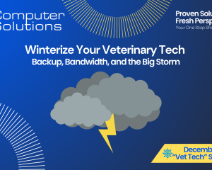 veterinary data backup article title image. This includes the Computer Solutions tagline, logo, and contact information. It also has a graphic of a storm cloud.