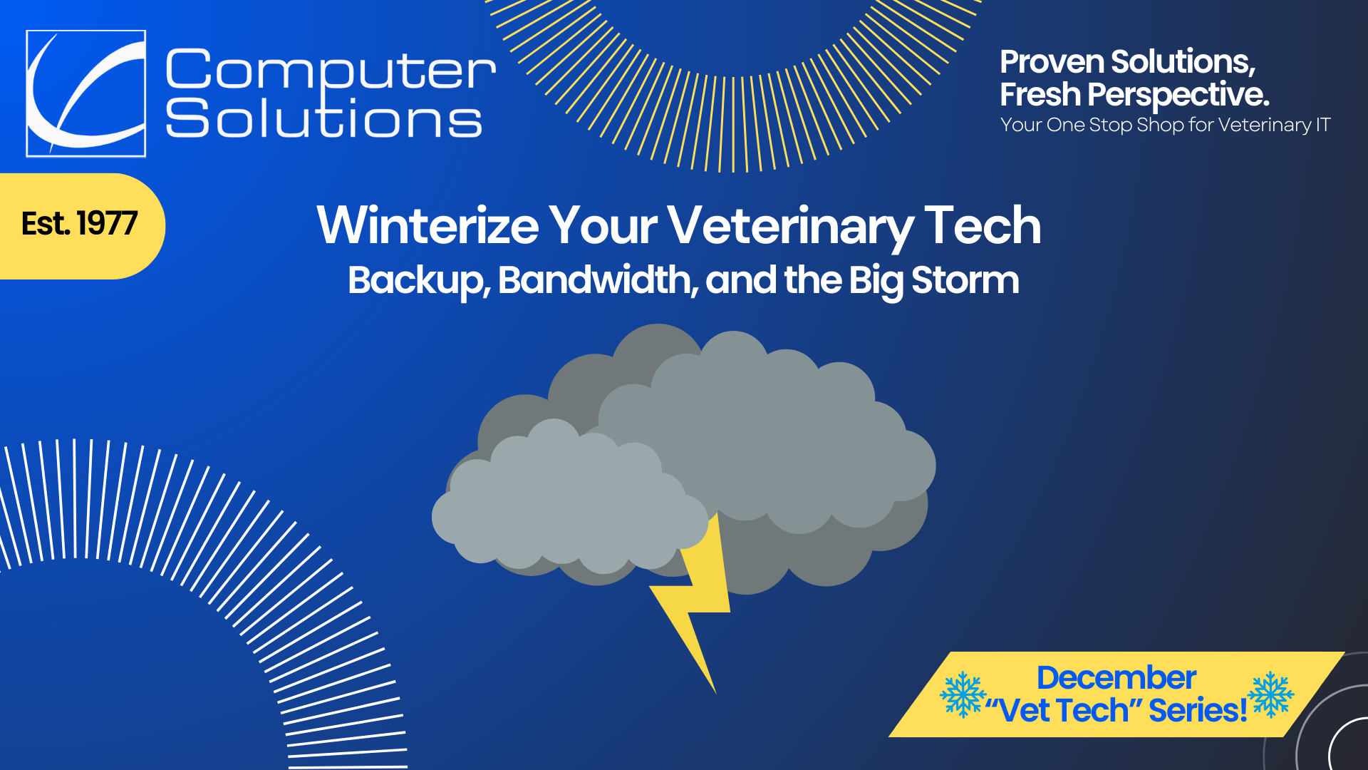 veterinary data backup article title image. This includes the Computer Solutions tagline, logo, and contact information. It also has a graphic of a storm cloud.