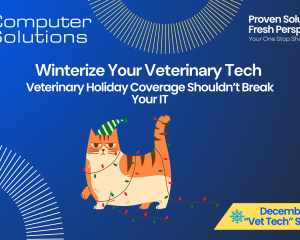 Veterinary holiday coverage article title image. This includes the Computer Solutions tagline, logo, and contact information as well as an image of cat tangled up in holiday lights.