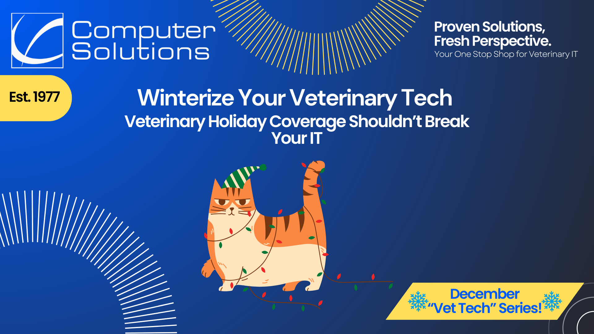 Veterinary holiday coverage article title image. This includes the Computer Solutions tagline, logo, and contact information as well as an image of cat tangled up in holiday lights.