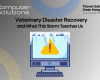 Veterinary disaster recovery article title page that includes Computer Solutions logo, tagline, and contact information as well as a graphic of a computer showing and error message while covered in snow.