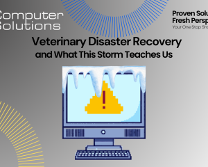 Veterinary disaster recovery article title page that includes Computer Solutions logo, tagline, and contact information as well as a graphic of a computer showing and error message while covered in snow.