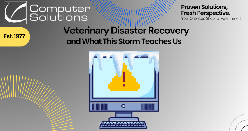 Veterinary disaster recovery article title page that includes Computer Solutions logo, tagline, and contact information as well as a graphic of a computer showing and error message while covered in snow.