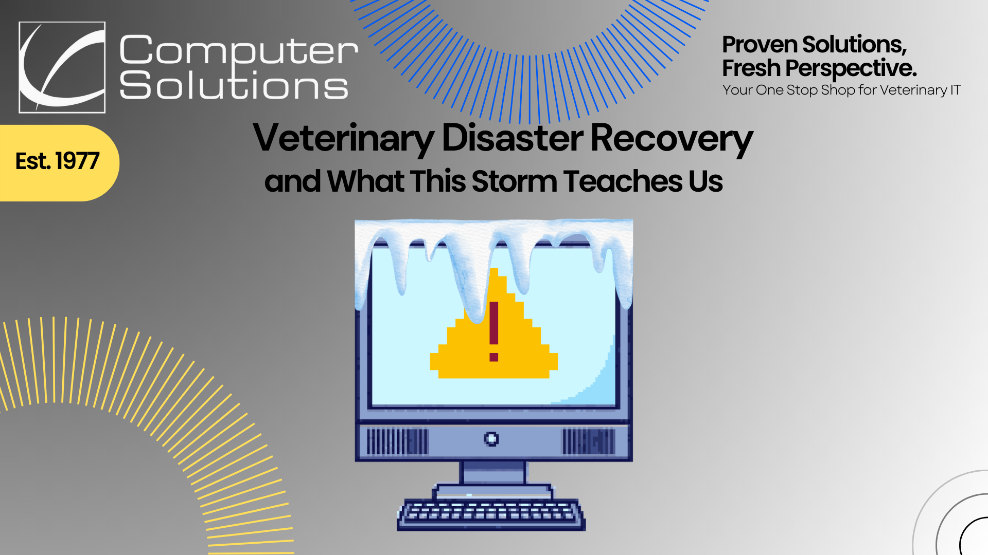 Veterinary disaster recovery article title page that includes Computer Solutions logo, tagline, and contact information as well as a graphic of a computer showing and error message while covered in snow.