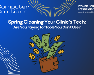 Veterinary IT expenses article including the Computer Solutions logo, tagline, and contact information. It also features the title of the article and a graphic of dollars and coins flying out of a wallet.