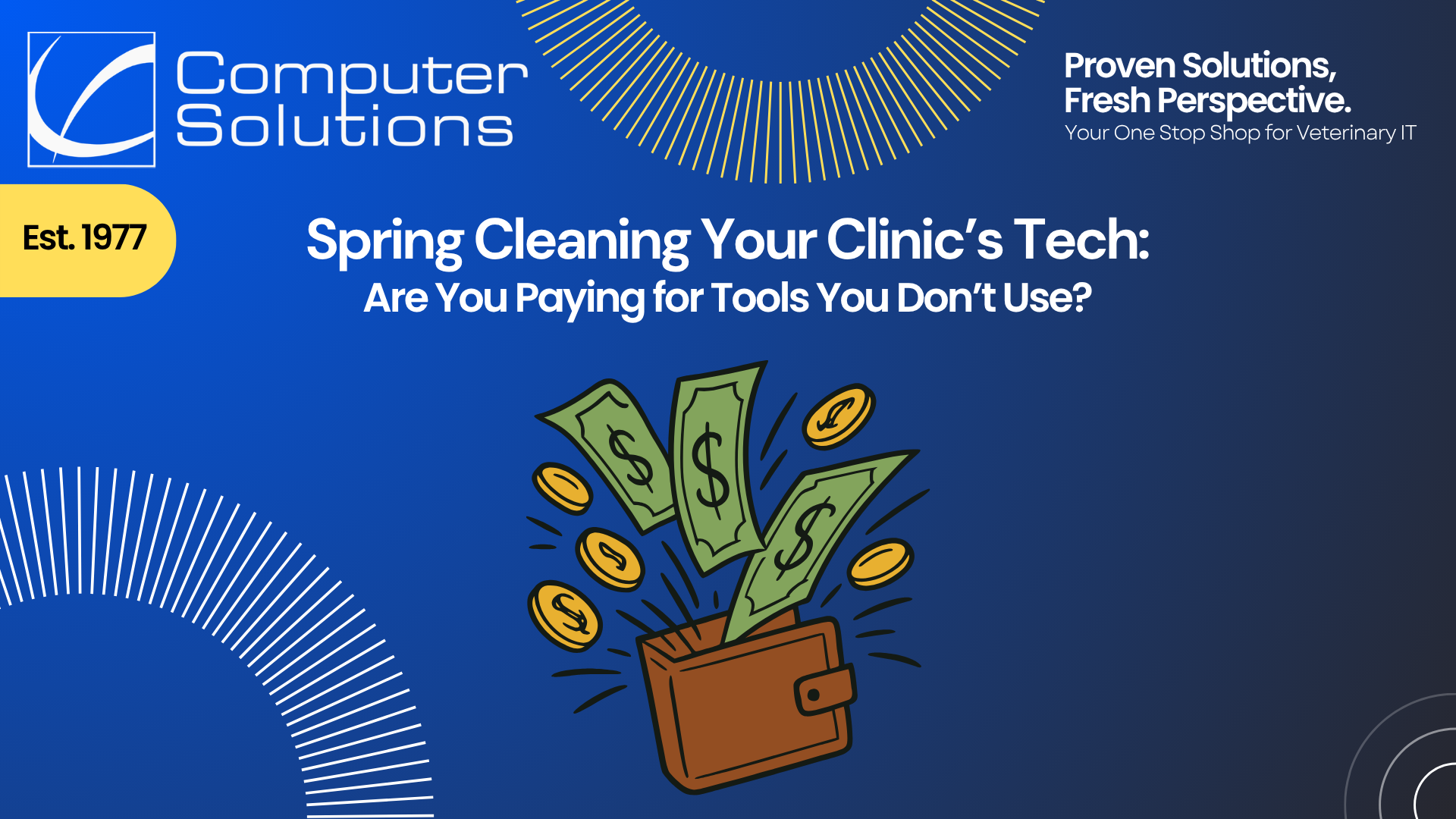 Veterinary IT expenses article including the Computer Solutions logo, tagline, and contact information. It also features the title of the article and a graphic of dollars and coins flying out of a wallet.