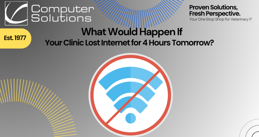 Veterinary internet outage article. This includes the Computer Solutions tagline, logo, and contact info, as well as a graphic of a "no internet connection" error code.