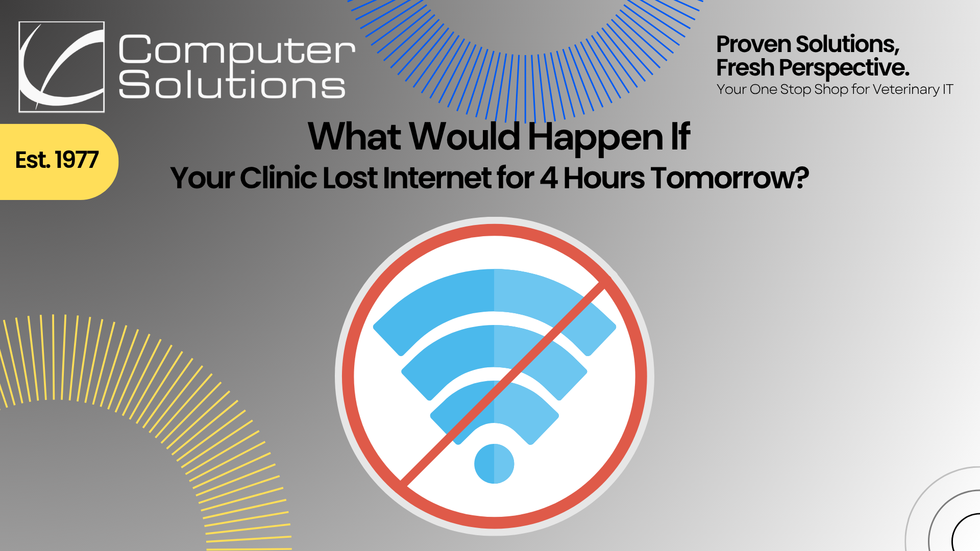Veterinary internet outage article. This includes the Computer Solutions tagline, logo, and contact info, as well as a graphic of a "no internet connection" error code.