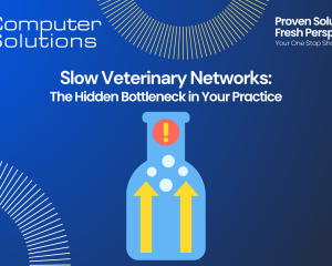 Slow veterinary network article. This includes the Computer Solutions contact information, as well as a graphic of a bottleneck, slowing processes.