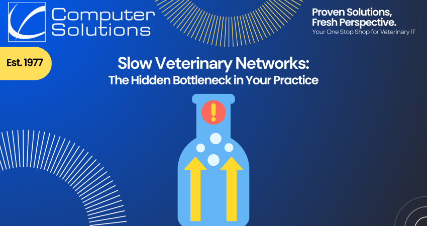 Slow veterinary network article. This includes the Computer Solutions contact information, as well as a graphic of a bottleneck, slowing processes.