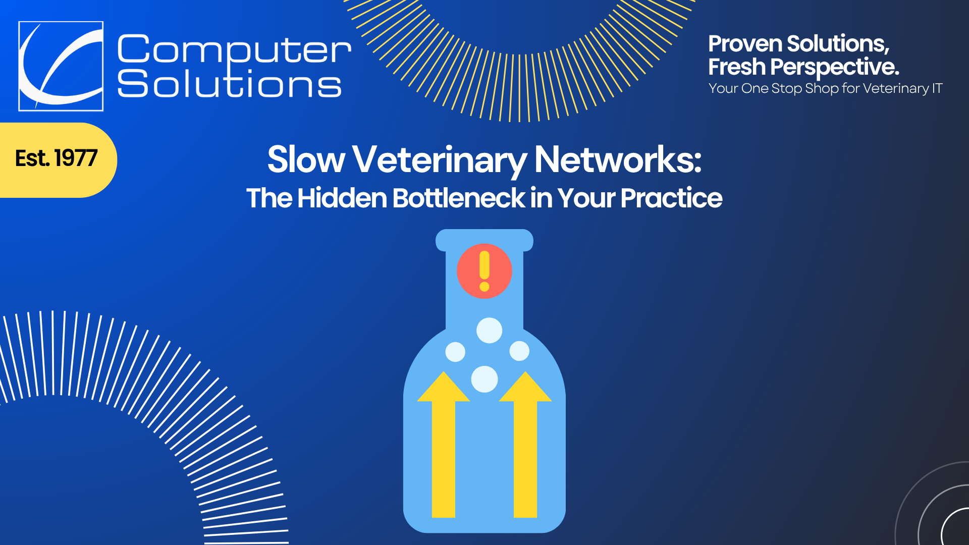 Slow veterinary network article. This includes the Computer Solutions contact information, as well as a graphic of a bottleneck, slowing processes.