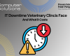 IT downtime at veterinary clinics article title image. IT includes a graphic of a clock with an error pop up as well as an arrow pointing down.