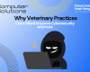Vet cybersecurity services article including a graphic of a hacker smiling with a laptop